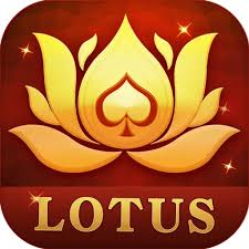 teen patti details download